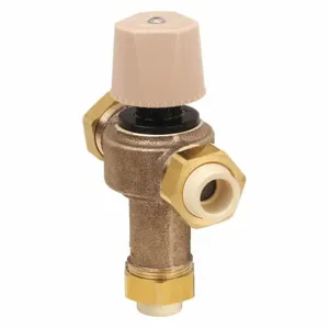 WATTS 0006269 Thermostatic Mixing Valve 1/2 Inch | AH6VZA 36JC34