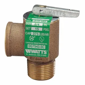 WATTS 0006275 Steam Safety Relief Valve 2-3/4 inch | AH6VYX 36JC12