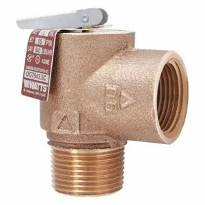 WATTS 0006276 Steam Safety Relief Valve 2-13/16 inch | AH6VYY 36JC13