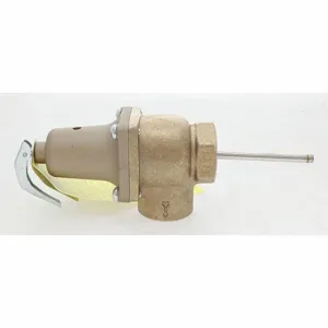 WATTS 0121451 Pressure Safety Relief Valve, 1 Inch Size, 150 psi, 3085000 Btu | CJ3BHR 161Z87