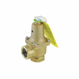 WATTS 0121504 Pressure Safety Relief Valve, 1 Inch Size, 125 psi | CJ3BHP 161Z98