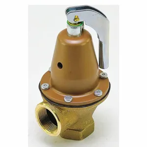 WATTS 0121517 Pressure Safety Relief Valve, 1-1/4 Inch Size, 80 psi | CJ3BJN 162A02