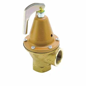 WATTS 0121544 Pressure Safety Relief Valve, 1-1/2 Inch Size, 100 psi | CJ3BHY 162A05