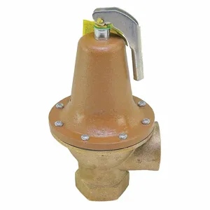 WATTS 0121575 Pressure Safety Relief Valve, 2 Inch Size, 150 psi | CJ3BJV 162A09