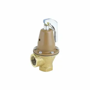 WATTS 0275600 Pressure Safety Relief Valve, 1-1/4 Inch Size, 30 psi, 1,682000 Btu | CJ3BJH 162A24