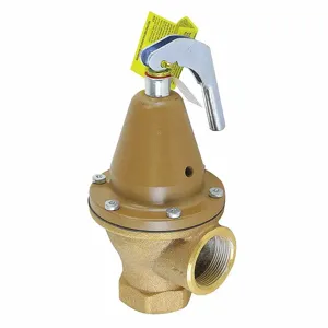 WATTS 0276500 Pressure Safety Relief Valve, 1-1/2 Inch Size, 30 psi, 2020000 Btu | CJ3BJB 162A25