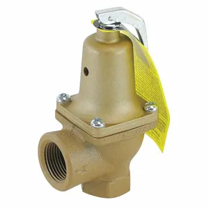 WATTS 0382392 Pressure Safety Relief Valve, 3/4 x 1 Inch Size, 60 psi, 1,566,000 Btu | CJ3BJY 162A36