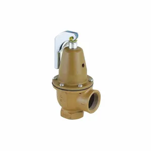 WATTS 0383025 Pressure Relief Valve, 1 1/4 Inch Size, 40 psi, 2590000 Btu | CJ3BHL 162A44