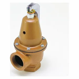 WATTS 0383308 Pressure Safety Relief Valve, 1-1/4 Inch Size, 45 psi, 2830000 Btu | CJ3BJJ 162A45