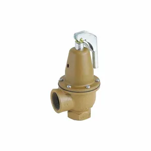 WATTS 0383368 Pressure Safety Relief Valve, 1-1/4 Inch Size, 60 psi, 3560000 Btu | CJ3BJK 162A47