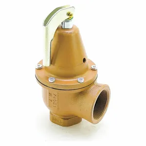 WATTS 0383740 Pressure Safety Relief Valve, 1-1/2 x 2 Inch Size, 40 psi, 3,569,000 Btu | CJ3BHW 162A50