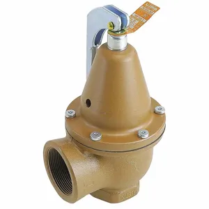 WATTS 0383742 Pressure Safety Relief Valve, 1-1/2 Inch Size, 45 psi, 3,903000 Btu | CJ3BJC 162A51