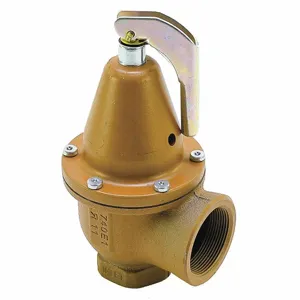 WATTS 0383800 Pressure Safety Relief Valve, 1-1/2 x 2 Inch Size, 60 psi, 4,907,000 Btu | CJ3BHX 162A53