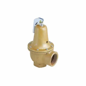 WATTS 0384240 Pressure Safety Relief Valve, 2 x 2-1/2 Inch Size, 40 psi, 6440000 Btu | CJ3BJT 162A56