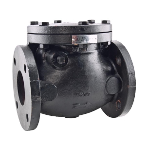 WATTS 411 3 Swing Check Valve, Flanged Joint, 3 Inch Size, Cast Iron | CB2RKD 0390020