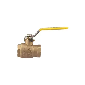 WATTS FBVS-3C 1 1/4 Ball Valve, 1 1/4 Inch Inlet, 600 Psi | BY7CTR 0547113