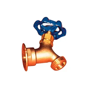 WATTS SC-4 3/4 Sillcock Faucet, 3/4 Inch Inlet, 3/4 Inch Outlet | CB3XMA 0610070