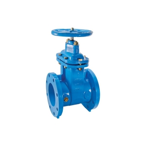 WATTS 405-RW 2 Resilient Wedge Gate Valve, 2 Inch Inlet, 200 Psi Max. Pressure | BY6YVB 0700102