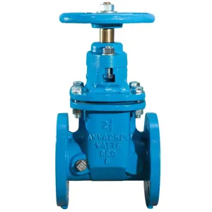 WATTS 406-NRS-RW 2 1/2 Resilient Wedge Gate Valve, 2 1/2 Inch Inlet, 200 Psi Max. Pressure | BY3VKP 0701310