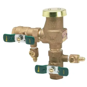 WATTS 800M4FR 3/4 Resistant Pressure Vacuum Breaker, 3/4 Inch Size, Bronze | CA4WJB 0388014