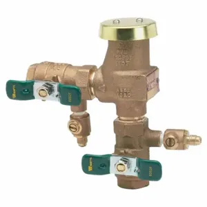 WATTS 1/2 LF800M4-FR Vacuum Breaker, 1/2 Inch Size, FNPT Connection, Lead Free Cast Copper Silicone Alloy | CU9TXP 793HT7