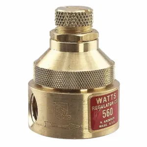 WATTS 1/8 LF560 0-125 Pressure Regulator 1/8 Inch 0 To 125 Psi | AB8QYG 26X146