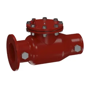 WATTS 1005DCV-FXG-LM 6 Single Detector Check Valve, 6 Inch Size, Steel | CC3PUB 0691559