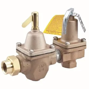 WATTS 1450F-STD 1/2 Dual Control Regulator And Relief Valve, 1/2 Inch Inlet, 6.9 Bar Pressure | BP6CBY 0388798