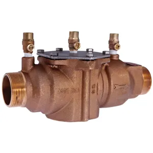 WATTS 200-LBV 2 Double Check Valve Backflow Preventer Assembly, 2 Inch Size | CC4MQJ 0064445