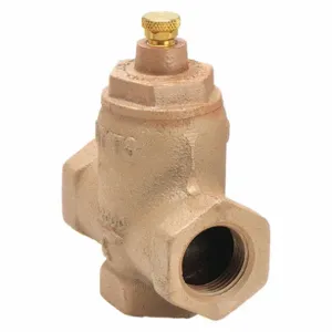 WATTS 2000 1 Flow Check Valve, Cast Iron, 1 Inch Size, 4 1/4 Inch Length, Horizontal or Angle Mount | CJ2FQR 4A814