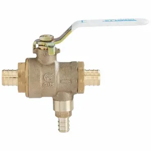 WATTS 3/4 LFBRVM1PXPXP-125 Ball And Relief Valve, 3/4 Inch Inlet, 600 Psi Pressure | CA4EEW 0125566