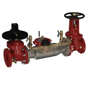 WATTS 3000SS-PIVXOSY-GPM 6 Double Check Detector Backflow Preventer Assembly, Shutoff Valve, 6 Inch Size, SS | CA9AWR 0191555