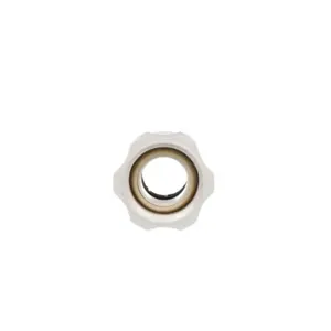 WATTS 3510-1416 Female Adapter, 3/4 Inch Size, 1 Inch NPS, Plastic | BR9EXD 0959789