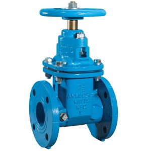 WATTS 406-NRS-RW 6 Resilient Wedge Gate Valve, 6 Inch Size | BY3VKR 0701325