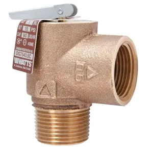 WATTS 415M1-SC-008 Steam Relief Valve, 3/4 Inch Inlet, 15 Psi Relief Pressure | BP2MQD 0346053