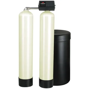 WATTS PWS10T161E21 Water Softening System, 19 Gpm Flow Rate, 1 Inch Inlet | BP7UBD 7100059