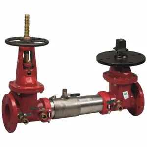 WATTS 757-OSYXPIV 8 Double Check Valve Assembly, Outside Stem And Yoke Gate Valve, 8 Inch Size | CA4EAW 0111204