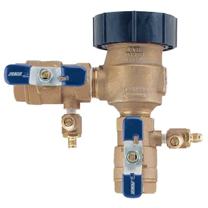 WATTS 767FR 1 Pressure Vacuum Breaker Backflow Preventer, 1 Inch Size | CC7PTX 0710004