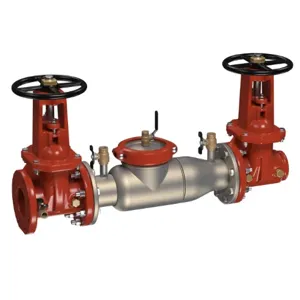 WATTS 774-OSY-FXG 10 Double Check Valve Assembly, Outside Stem And Yoke Gate Valve, 10 Inch Size | CC7UWL 0439517