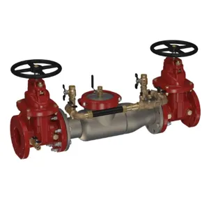 WATTS 3000SS-NRS-LM 8 Double Check Detector Backflow Assembly, 8 Inch Size, Shutoff Valve | CC3PTW 0691543