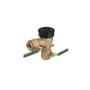 WATTS 800M4-FR 2 Resistant Pressure Vacuum Breaker, 2 Inch Size, Bronze | CC6ZPJ 0388018