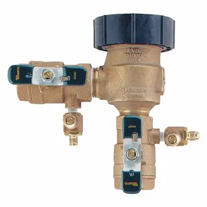 WATTS 800M4-FR Freeze Resistant Vacuum Breaker, 1 1/4 Inch Size, FNPT, Cast Bronze, 8 7/8 Inch Width | CJ2FYH 36JD34