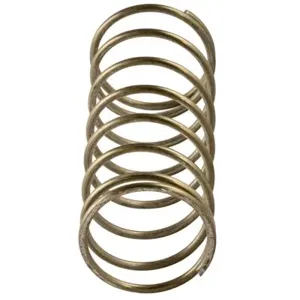 WATTS 825Y SS INLET SPRING 3/4 - 1 1/4 Check Spring Kit, 3/4 To 1 1/4 Inch Size, Stainless Steel | BZ9FGC 630125