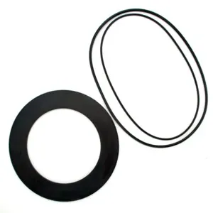 WATTS ARK 3000CIV-RC4 10 Rubber Part Kit | BZ8ZND 7016614