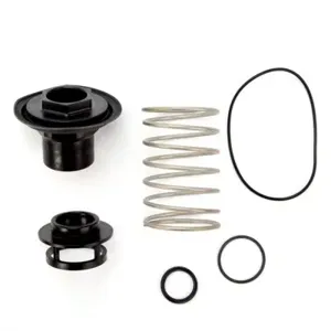 WATTS ARK 400B-T Valve Kit | BZ8YXA 7018517