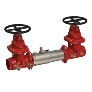 WATTS C200-NRS-GXG 8 Double Check Valve Backflow Preventer Assembly, Shutoff Valve, 8 Inch Size, SS | CC6UDR 0112108