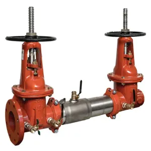 WATTS 757-OSY-FXG 3 Double Check Valve Assembly, Outside Stem And Yoke Gate Valve, 3 Inch Size | CA9AXN 0191575