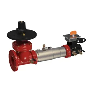 WATTS C200-PIVXBFG 6 Double Check Valve Backflow Preventer Assembly, Shutoff Valve, 6 Inch Size, SS | CC6UEJ 0112124