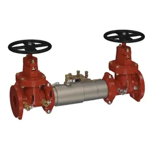 WATTS C300-NRS-LM 2 1/2 Double Check Detector Backflow Preventer Assembly, Colt, 2 1/2 Inch Size, SS | CD2AAN 0206555