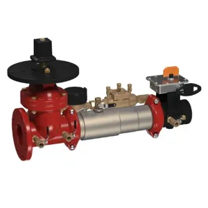 WATTS C300-PIVXBFG-CFM 4 Backflow Preventer Assembly, Grooved Gear Butterfly Valve, 4 Inch Size | CC3MJT 0112139